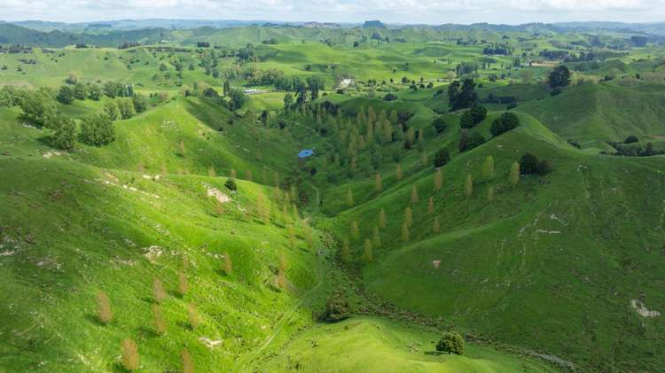 1163 Mangamako Road Ohingaiti_10