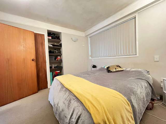 41B Layton Road Manly_4