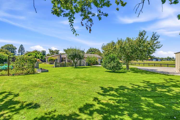 8 Odlum Drive Matamata_21