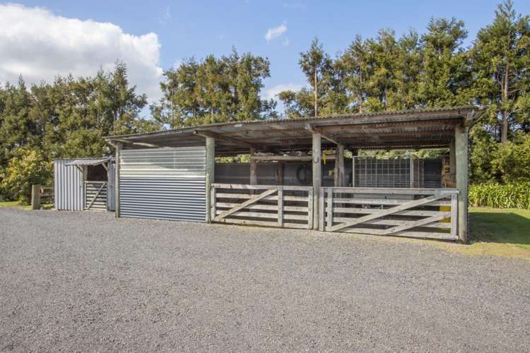 105 Wharawhara Road Katikati_23