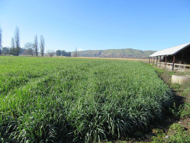 51 Walker Road Otane_9