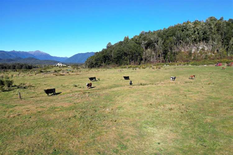 1480 Snowy River Road Ikamatua_5