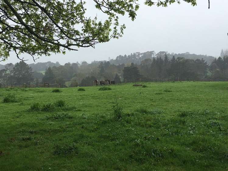 141 Parker Lane Buckland_13