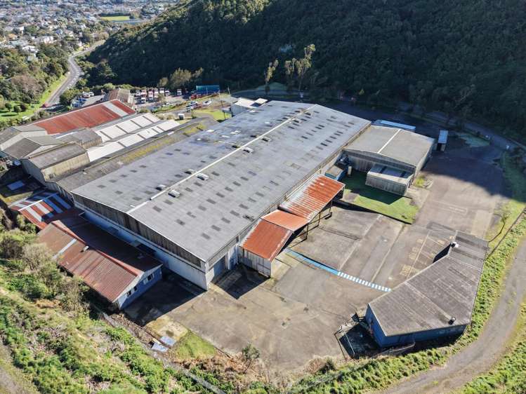 101 Collins Avenue Tawa_1