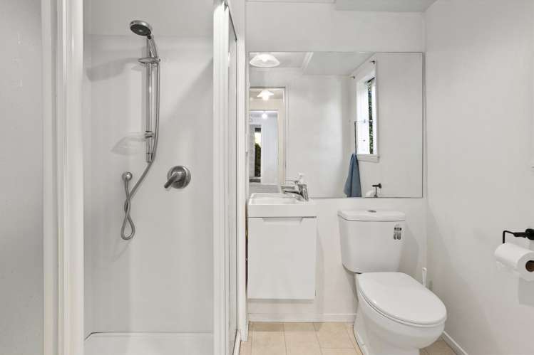 64 Norway Street Aro Valley_14