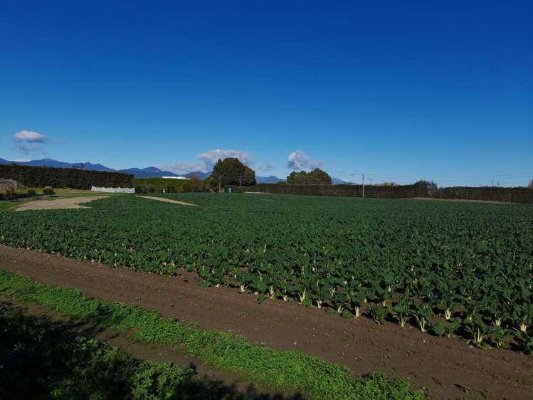 480 Appleby Highway Appleby_7