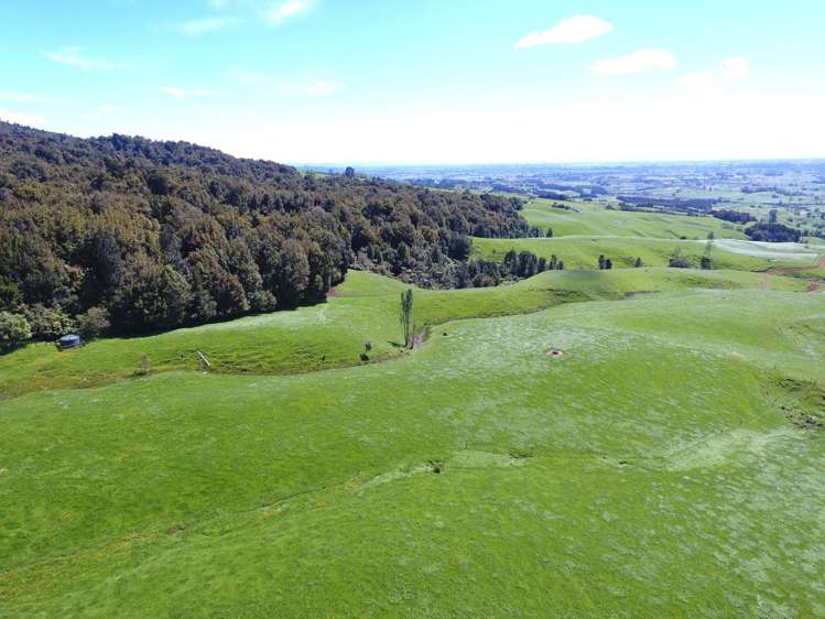 3/585 O'Shea Road Pirongia_20