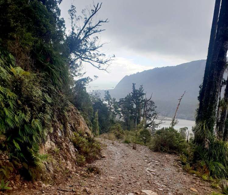 Lot 6 Paringa River Area Bruce Bay_7