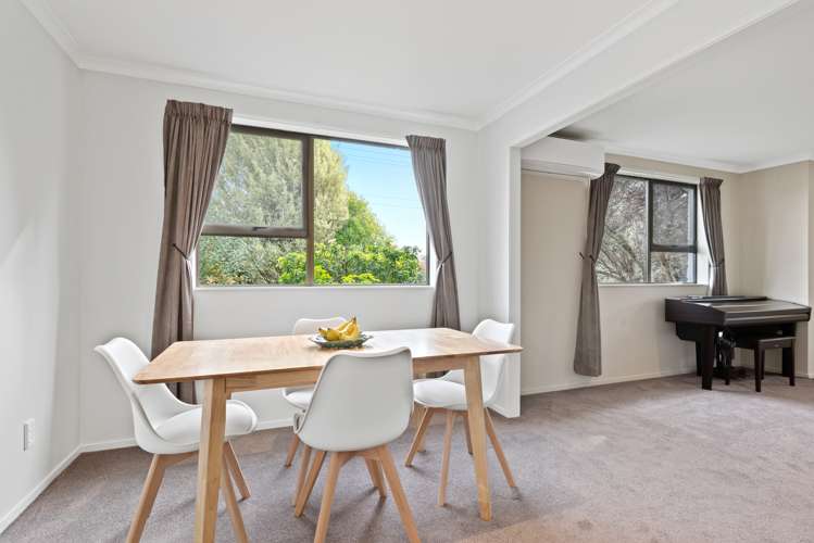 11 Brydon Street Renwick_7