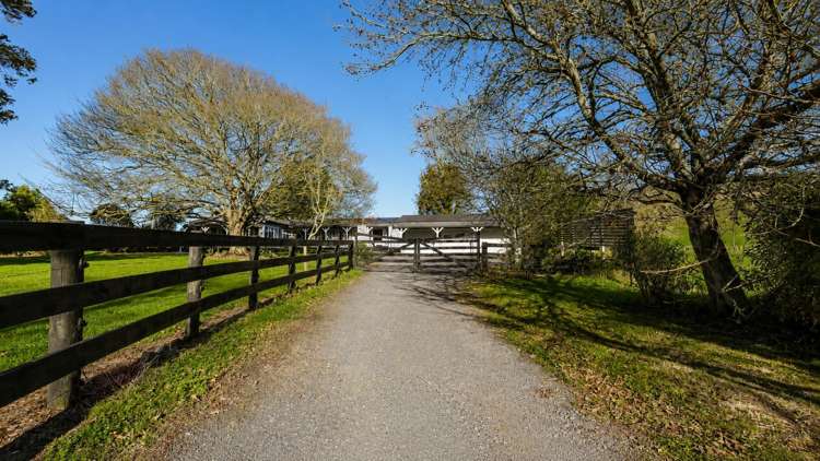 232 Martin Road Te Kauwhata_3