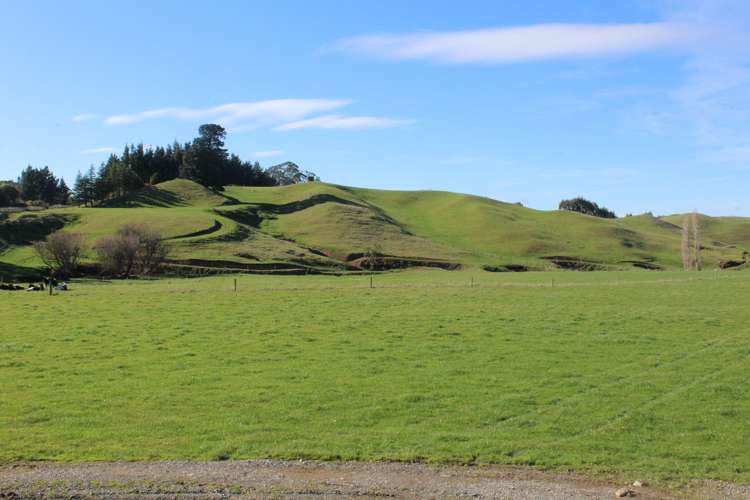 75647 State Highway 2 Norsewood_0