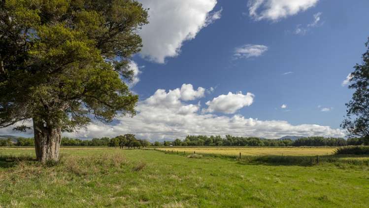 167 Ponatahi Road Martinborough_5