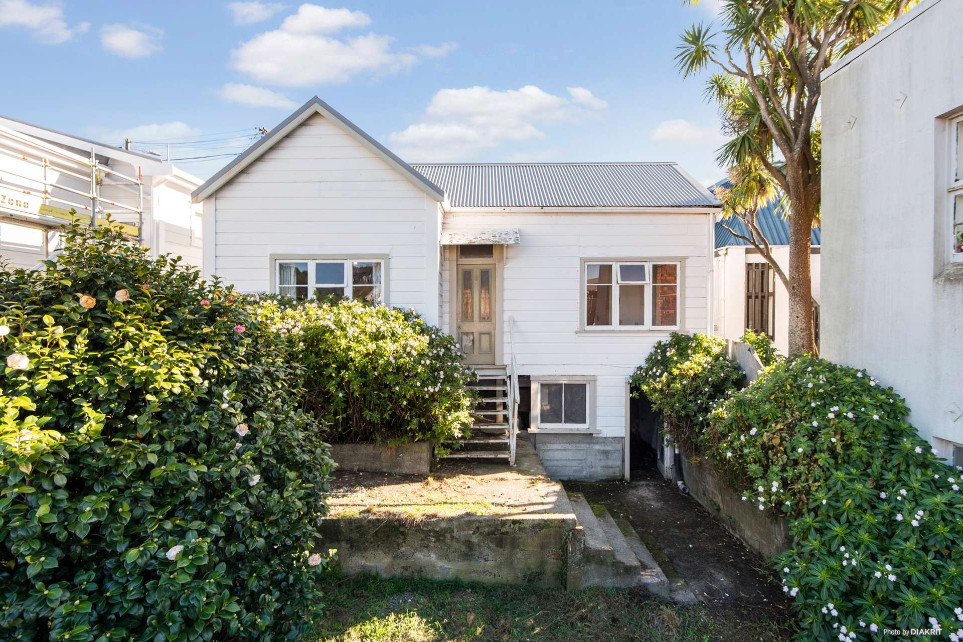 5 Millward Street Newtown_0