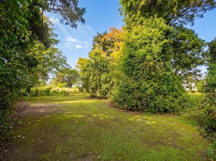 317 Wood Street Greytown_26