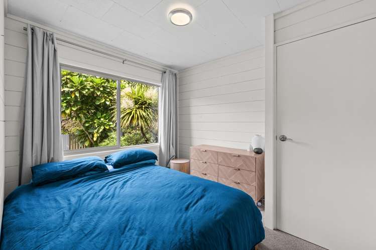 102 Avocado Lane Mangawhai_13