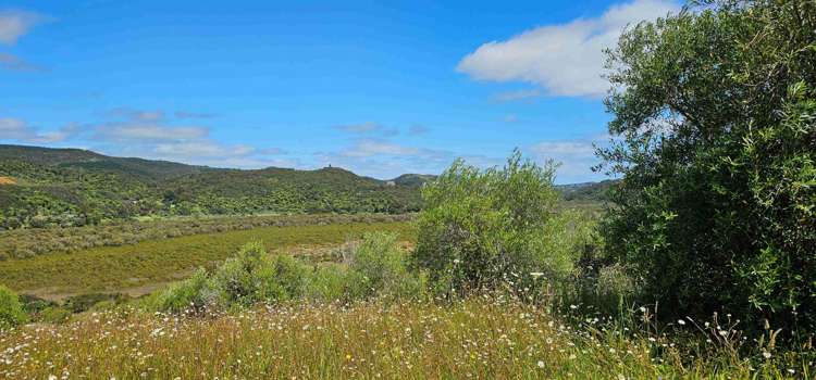 105 Frantoio Ridge Road Mangonui_18