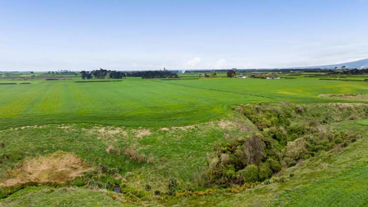 697 Ahipaipa Road Okaiawa_13