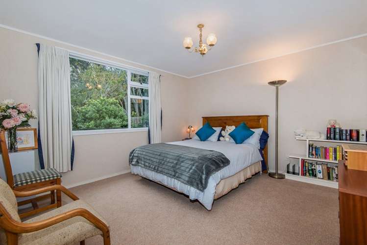 9 Belfast Street Hillsborough_12