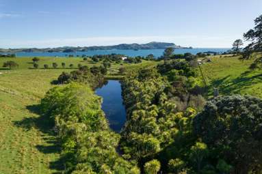 Share 18 Moturoa Island_4