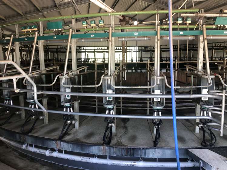 110 Stringers Road Putaruru_8