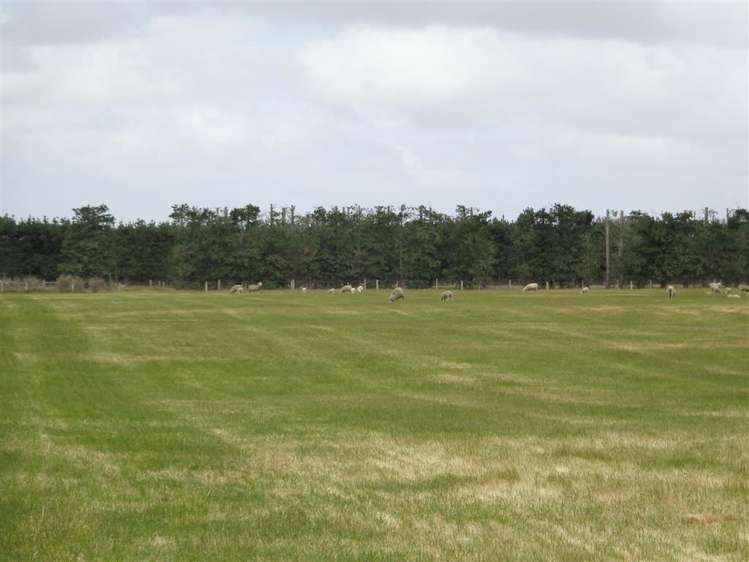 1245 Hoskyns Road Kirwee_21