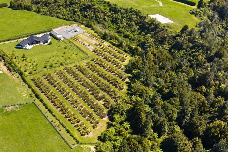 25 Sarona Park Drive Omanawa_25