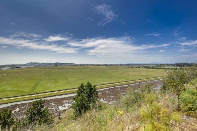 64a Nilgiri Road Poraiti_4