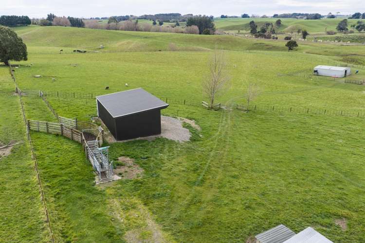 780 Halcombe Road Halcombe_8
