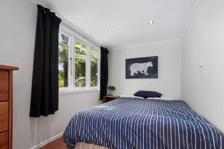24 Tanekaha Road Titirangi_21