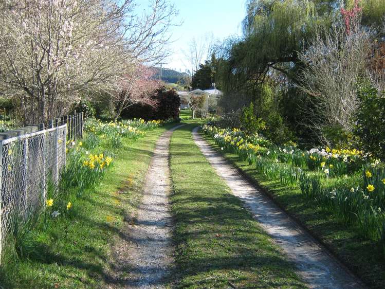 26 Greenhill Road Ngatimoti_41