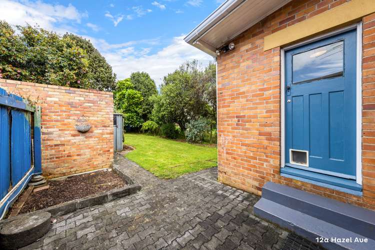 12a Hazel Avenue Mount Roskill_11