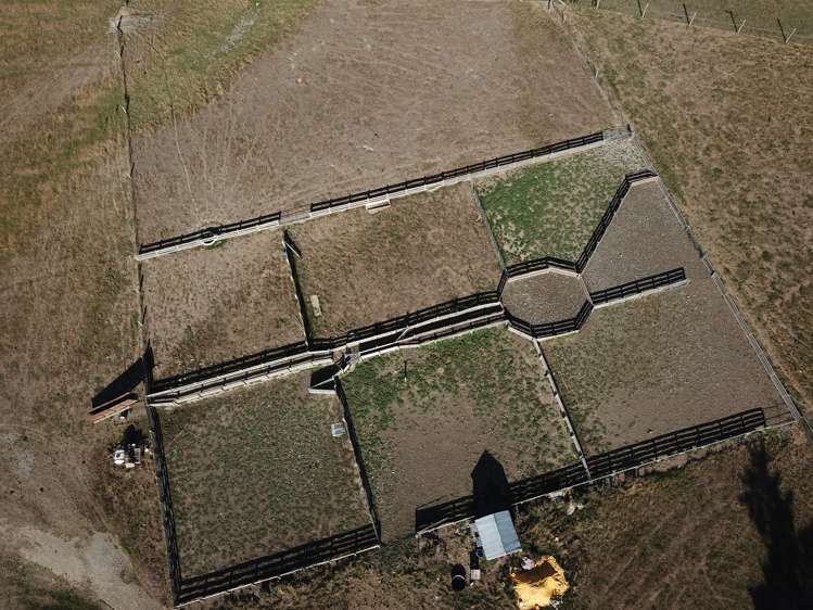 207 Tondros Road Fairlie_9