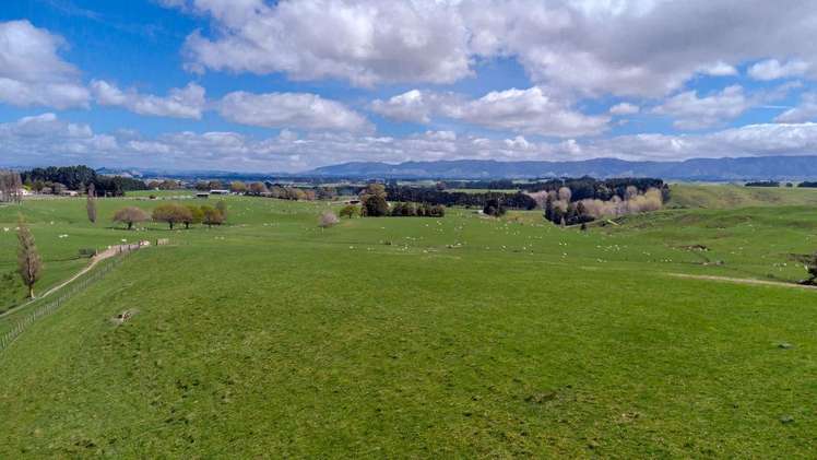 680 Cowper Road Dannevirke_25