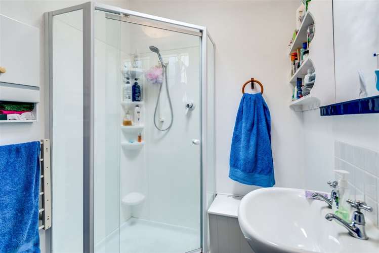 21 Hornsey Road Bluff Hill_17