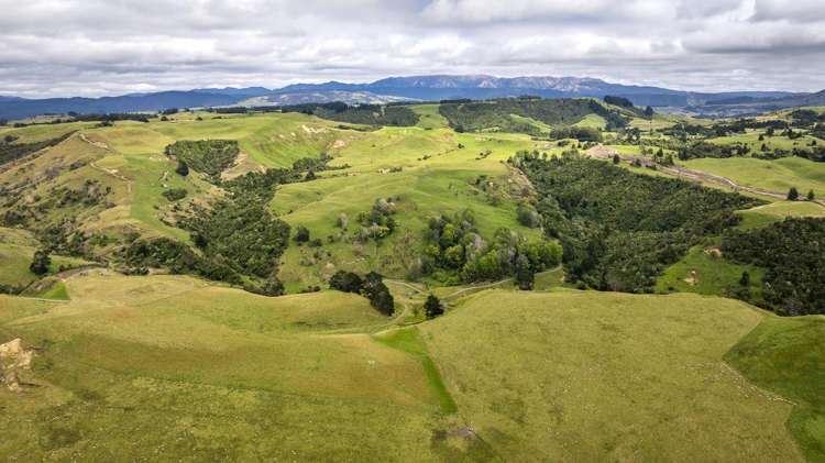 4332 Puketitiri Road Hastings Country_10