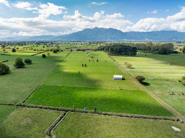 137 Seddon Road Waitoa_2