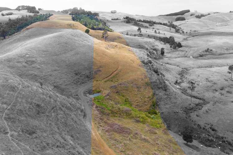 1149 Waikaretu Valley Road Waikaretu_19