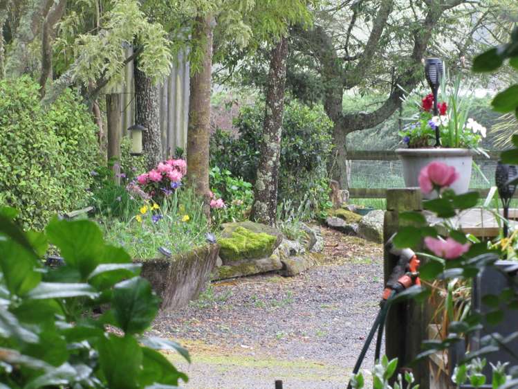 202 Whangamata Road Kinloch_12