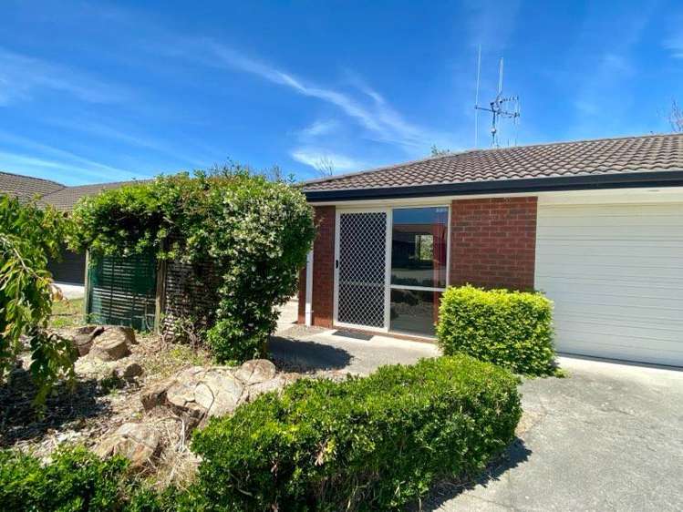 38 Twin Oak Avenue Papamoa_8