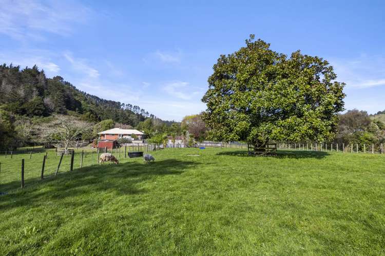 1058 Old Mountain Road Raglan_26
