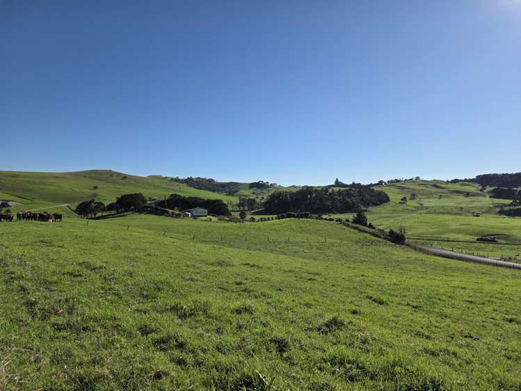 Lot 7 Mititai Road Dargaville_12