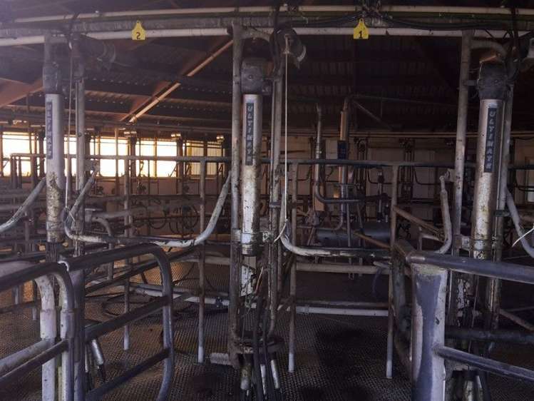 346 Rugby Road Tariki_60