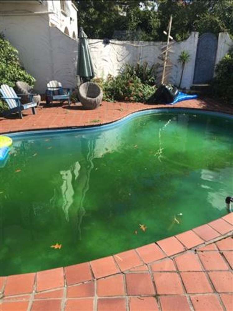 3 Cron Avenue Te Atatu South_1