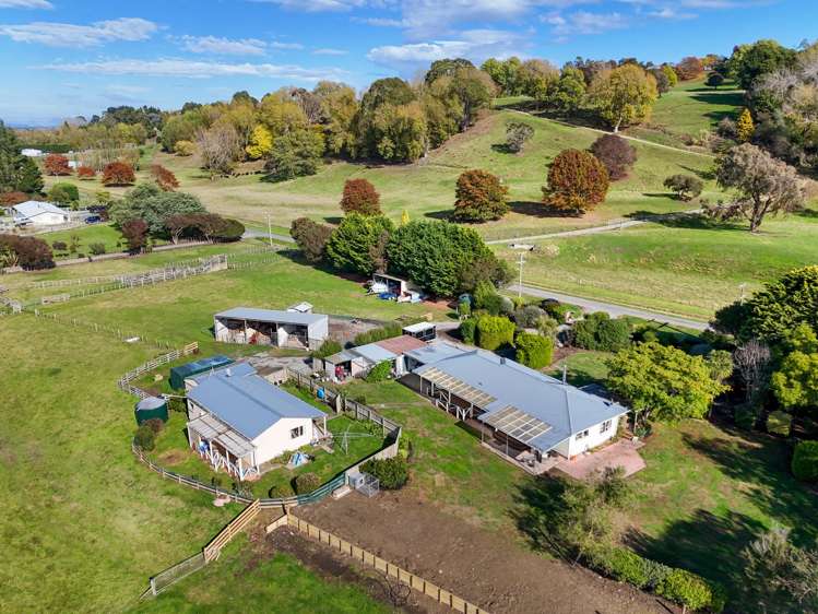 298 Gordon Street Masterton_5