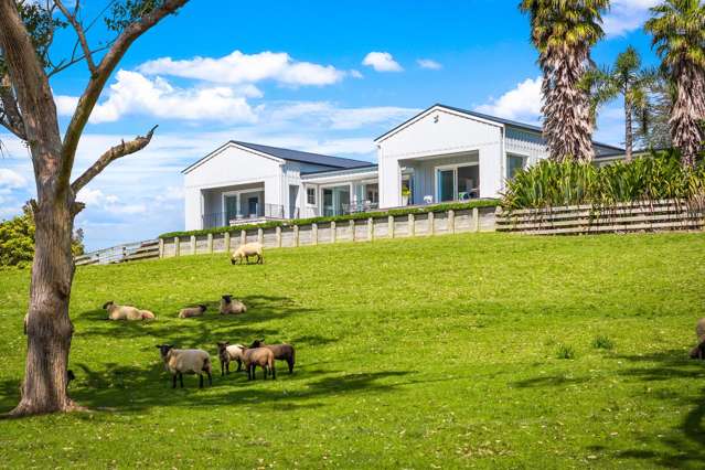 Matakana estate with coastal views