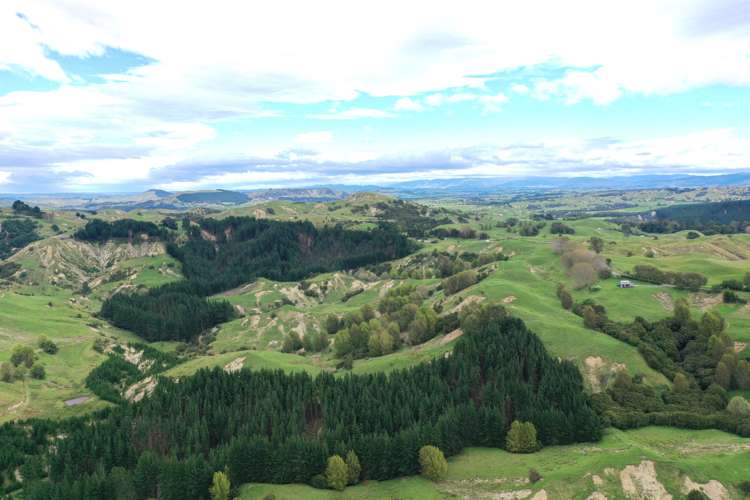 643 Glengarry Road Puketapu_8