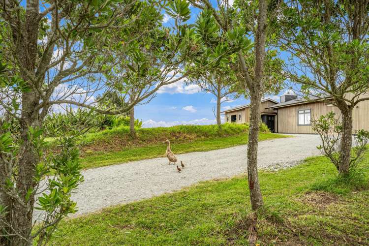 328 Mainland Road Kaipara Flats_23