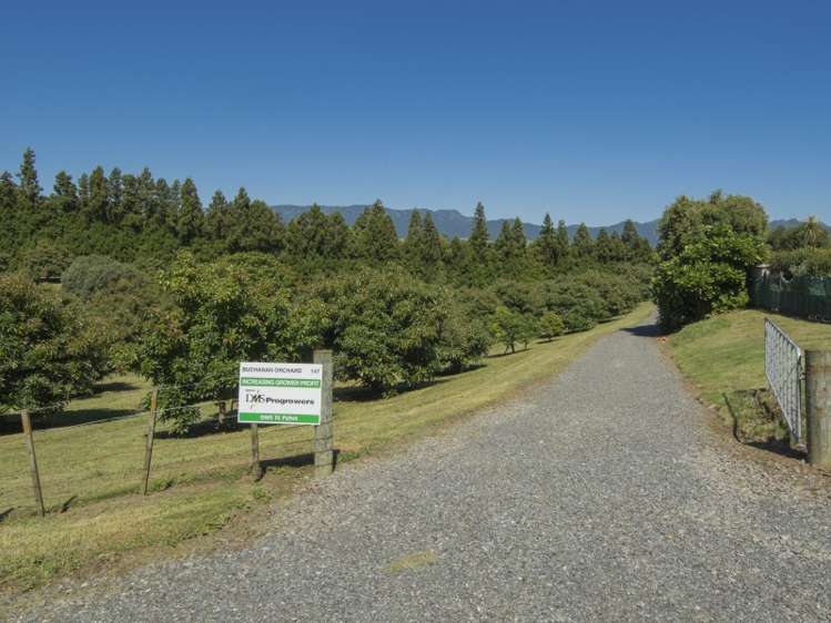 147 Morton Road Aongatete_15