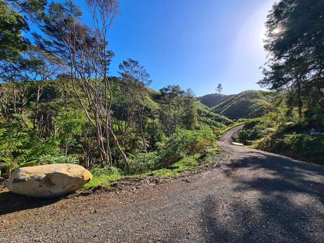 982B Manaia Road Coromandel_2