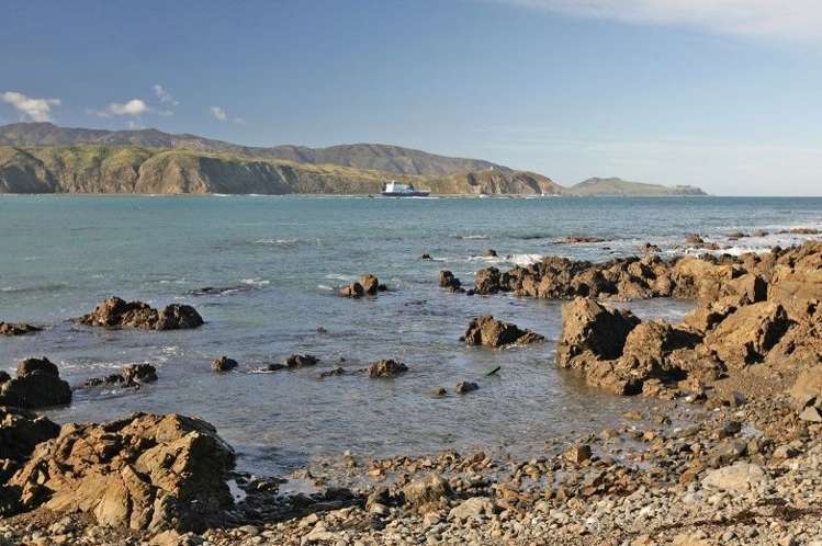 117 Breaker Bay Road Breaker Bay_22